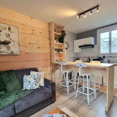 Joconde - Duplex In The Historic Center *